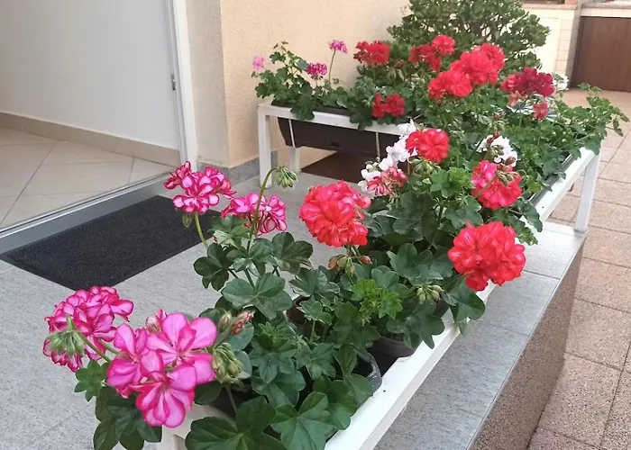 Apartment Marelja - Private Parking And Balcony